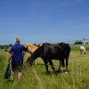 06 d Bürgermeister-Tour Paukenweg
